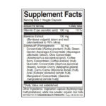 Veganer Kollagen-Aufbau