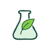 Detoxification and Antioxidation