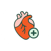 Heart and Circulation