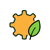 Inflammation and Protection