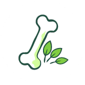 Joints Bones and Mobility