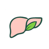 Liver Health