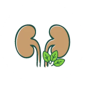 Urinary Tract and Kidneys